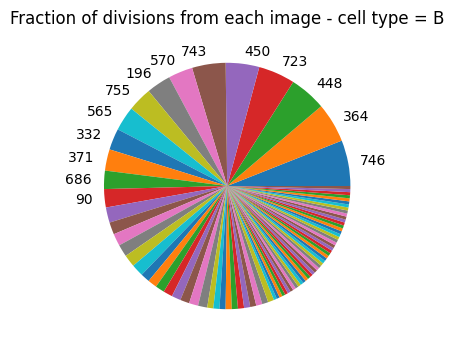 ../_images/tutorials_defining-cell-divisions_19_0.png