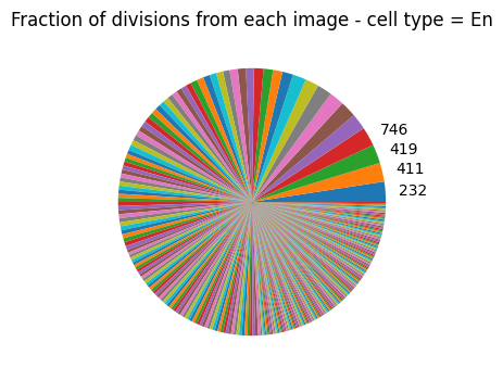 ../_images/tutorials_defining-cell-divisions_19_1.png