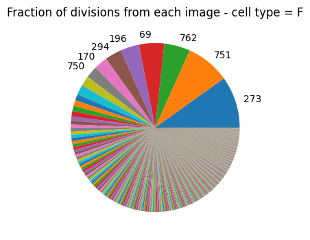 ../_images/tutorials_defining-cell-divisions_19_2.png