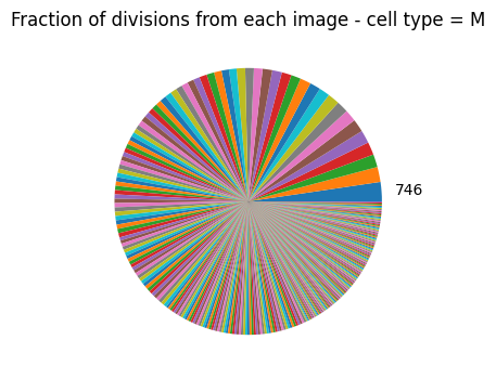 ../_images/tutorials_defining-cell-divisions_19_3.png